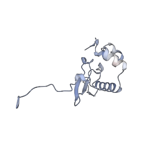 22681_7k5i_P_v2-0
SARS-COV-2 nsp1 in complex with human 40S ribosome