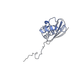 22681_7k5i_Q_v1-1
SARS-COV-2 nsp1 in complex with human 40S ribosome