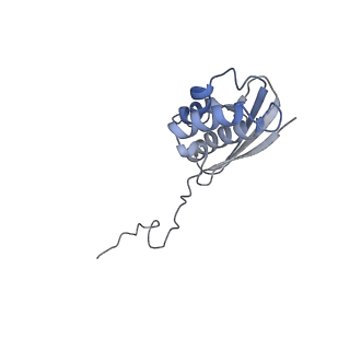 22681_7k5i_Q_v2-0
SARS-COV-2 nsp1 in complex with human 40S ribosome