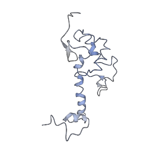 22681_7k5i_S_v1-1
SARS-COV-2 nsp1 in complex with human 40S ribosome