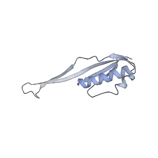 22681_7k5i_U_v1-1
SARS-COV-2 nsp1 in complex with human 40S ribosome