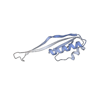 22681_7k5i_U_v2-0
SARS-COV-2 nsp1 in complex with human 40S ribosome