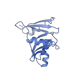 22681_7k5i_W_v1-1
SARS-COV-2 nsp1 in complex with human 40S ribosome