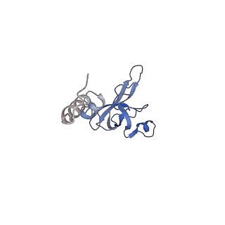22681_7k5i_X_v1-1
SARS-COV-2 nsp1 in complex with human 40S ribosome