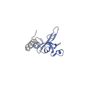 22681_7k5i_X_v2-0
SARS-COV-2 nsp1 in complex with human 40S ribosome