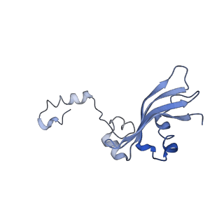 22681_7k5i_Y_v1-1
SARS-COV-2 nsp1 in complex with human 40S ribosome