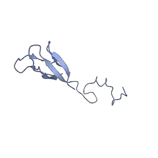 22681_7k5i_b_v1-1
SARS-COV-2 nsp1 in complex with human 40S ribosome