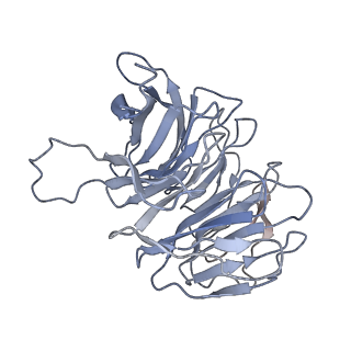 22681_7k5i_g_v1-1
SARS-COV-2 nsp1 in complex with human 40S ribosome