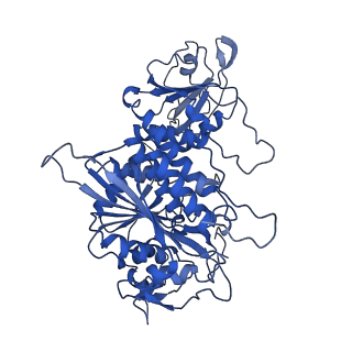 22682_7k5k_A_v1-3
Plasmodium vivax M17 leucyl aminopeptidase Pv-M17