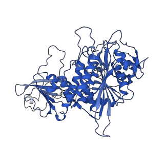 22682_7k5k_B_v1-2
Plasmodium vivax M17 leucyl aminopeptidase Pv-M17
