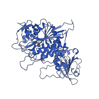 22682_7k5k_C_v1-2
Plasmodium vivax M17 leucyl aminopeptidase Pv-M17