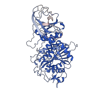 22682_7k5k_E_v1-2
Plasmodium vivax M17 leucyl aminopeptidase Pv-M17