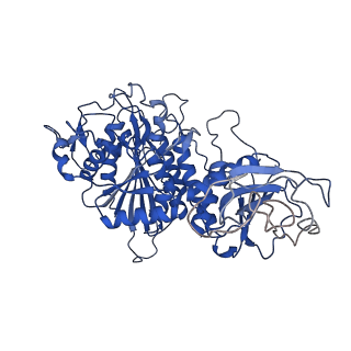 22682_7k5k_F_v1-2
Plasmodium vivax M17 leucyl aminopeptidase Pv-M17