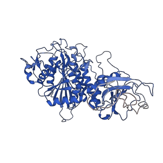 22682_7k5k_F_v1-3
Plasmodium vivax M17 leucyl aminopeptidase Pv-M17