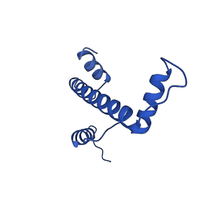 22683_7k5x_A_v1-2
Cryo-EM structure of a chromatosome containing human linker histone H1.0