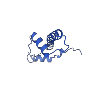 22683_7k5x_B_v1-2
Cryo-EM structure of a chromatosome containing human linker histone H1.0