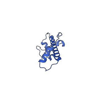 22683_7k5x_C_v1-2
Cryo-EM structure of a chromatosome containing human linker histone H1.0