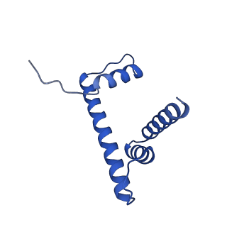 22683_7k5x_D_v1-2
Cryo-EM structure of a chromatosome containing human linker histone H1.0