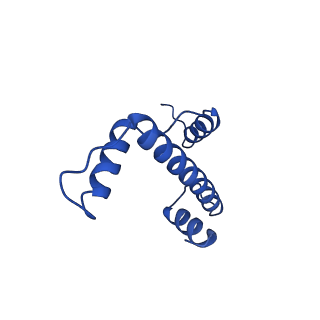 22683_7k5x_E_v1-2
Cryo-EM structure of a chromatosome containing human linker histone H1.0