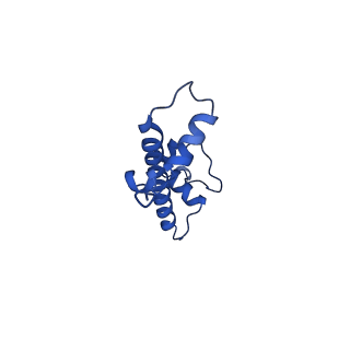 22683_7k5x_G_v1-2
Cryo-EM structure of a chromatosome containing human linker histone H1.0
