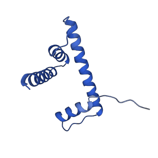 22683_7k5x_H_v1-2
Cryo-EM structure of a chromatosome containing human linker histone H1.0