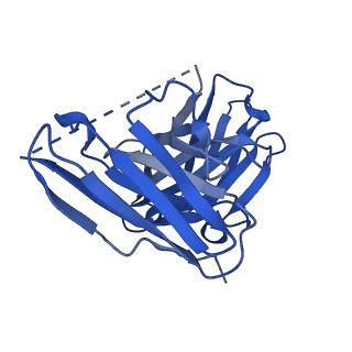 22683_7k5x_N_v1-2
Cryo-EM structure of a chromatosome containing human linker histone H1.0