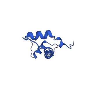 22684_7k5y_B_v1-3
Cryo-EM structure of a chromatosome containing human linker histone H1.4