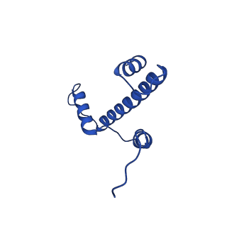 22684_7k5y_E_v1-2
Cryo-EM structure of a chromatosome containing human linker histone H1.4