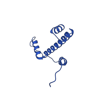 22684_7k5y_E_v1-3
Cryo-EM structure of a chromatosome containing human linker histone H1.4