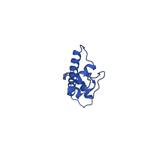 22684_7k5y_G_v1-3
Cryo-EM structure of a chromatosome containing human linker histone H1.4