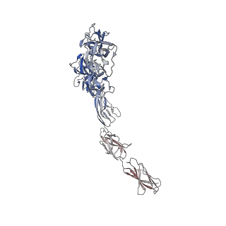 36896_8k53_A_v1-0
Structure of the Dimeric Human CNTN2 Ig 1-6-FNIII 1-2 Domain in an Asymmetric State