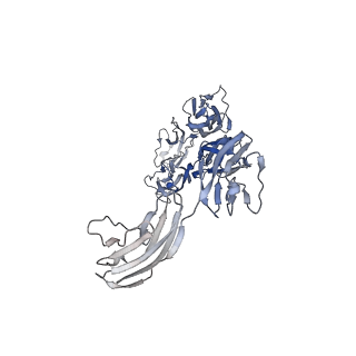 36896_8k53_B_v1-0
Structure of the Dimeric Human CNTN2 Ig 1-6-FNIII 1-2 Domain in an Asymmetric State