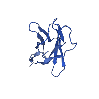 36905_8k5g_H_v1-0
Structure of the SARS-CoV-2 BA.1 RBD with UT28-RD