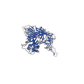 36906_8k5h_B_v1-0
Structure of the SARS-CoV-2 BA.1 spike with UT28-RD