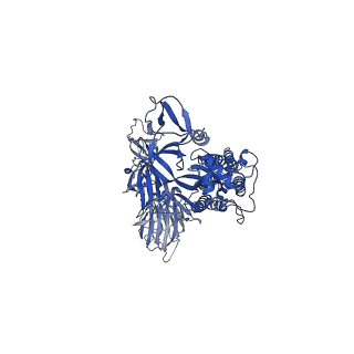36906_8k5h_C_v1-0
Structure of the SARS-CoV-2 BA.1 spike with UT28-RD