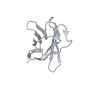 36906_8k5h_H_v1-0
Structure of the SARS-CoV-2 BA.1 spike with UT28-RD