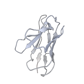 36906_8k5h_L_v1-0
Structure of the SARS-CoV-2 BA.1 spike with UT28-RD