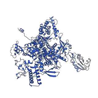 36908_8k5p_A_v1-0
Cryo-EM structure of yeast Rat1-bound Pol II pre-termination transcription complex 2 (Pol II Rat1-PTTC2)
