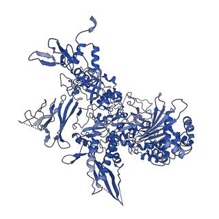 36908_8k5p_B_v1-0
Cryo-EM structure of yeast Rat1-bound Pol II pre-termination transcription complex 2 (Pol II Rat1-PTTC2)