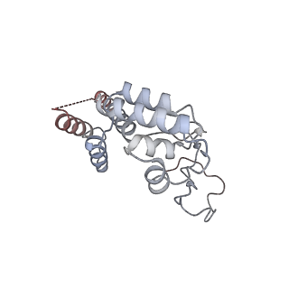36908_8k5p_D_v1-0
Cryo-EM structure of yeast Rat1-bound Pol II pre-termination transcription complex 2 (Pol II Rat1-PTTC2)