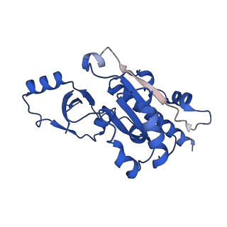 36908_8k5p_E_v1-0
Cryo-EM structure of yeast Rat1-bound Pol II pre-termination transcription complex 2 (Pol II Rat1-PTTC2)