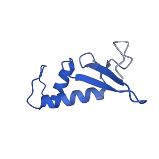 36908_8k5p_F_v1-0
Cryo-EM structure of yeast Rat1-bound Pol II pre-termination transcription complex 2 (Pol II Rat1-PTTC2)