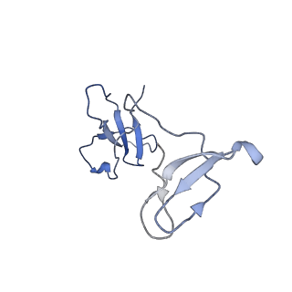 36908_8k5p_I_v1-0
Cryo-EM structure of yeast Rat1-bound Pol II pre-termination transcription complex 2 (Pol II Rat1-PTTC2)