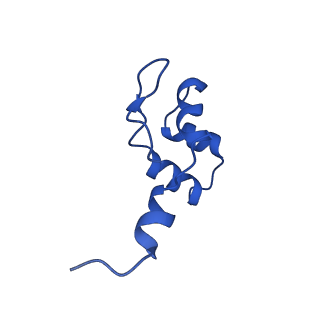 36908_8k5p_J_v1-0
Cryo-EM structure of yeast Rat1-bound Pol II pre-termination transcription complex 2 (Pol II Rat1-PTTC2)