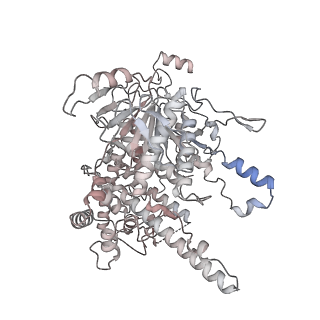 36908_8k5p_M_v1-0
Cryo-EM structure of yeast Rat1-bound Pol II pre-termination transcription complex 2 (Pol II Rat1-PTTC2)