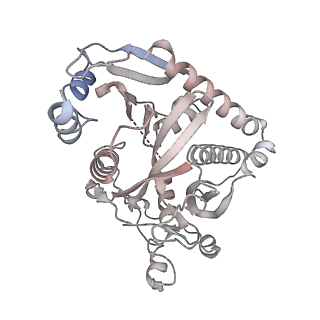 36908_8k5p_O_v1-0
Cryo-EM structure of yeast Rat1-bound Pol II pre-termination transcription complex 2 (Pol II Rat1-PTTC2)