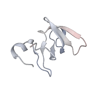36908_8k5p_W_v1-0
Cryo-EM structure of yeast Rat1-bound Pol II pre-termination transcription complex 2 (Pol II Rat1-PTTC2)