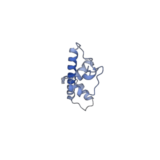 22685_7k60_C_v1-3
Cryo-EM structure of a chromatosome containing human linker histone H1.10