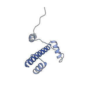 22685_7k60_E_v1-2
Cryo-EM structure of a chromatosome containing human linker histone H1.10