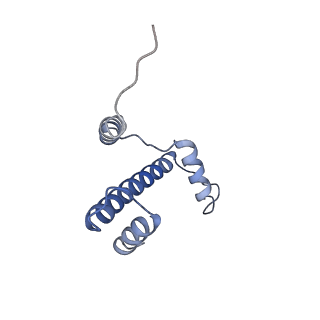 22685_7k60_E_v1-3
Cryo-EM structure of a chromatosome containing human linker histone H1.10